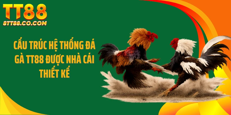 Cấu trúc hệ thống đá gà TT88 được nhà cái thiết kế