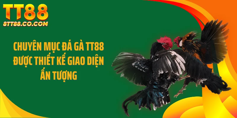 Chuyên mục đá gà TT88 được thiết kế giao diện ấn tượng