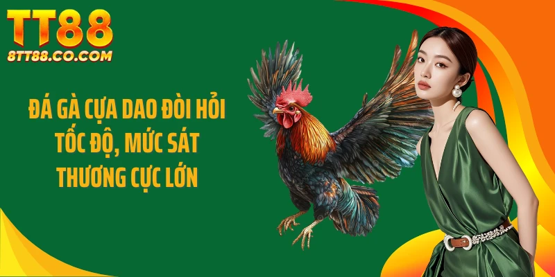 Đá gà cựa dao đòi hỏi tốc độ, mức sát thương cực lớn