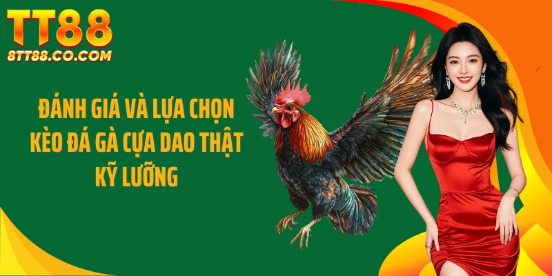 Đánh giá và lựa chọn kèo đá gà cựa dao thật kỹ lưỡng