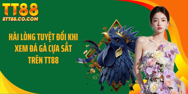 Hài lòng tuyệt đối khi xem đá gà cựa sắt trên TT88