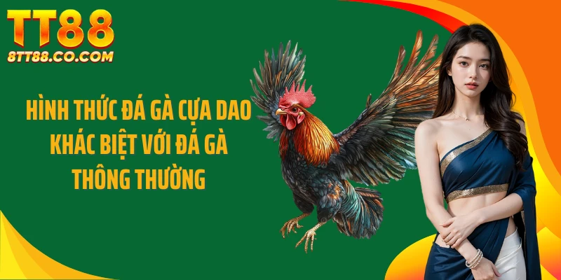 Hình thức đá gà cựa dao khác biệt với đá gà thông thường
