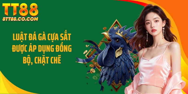 Luật đá gà cựa sắt được áp dụng đồng bộ, chặt chẽ